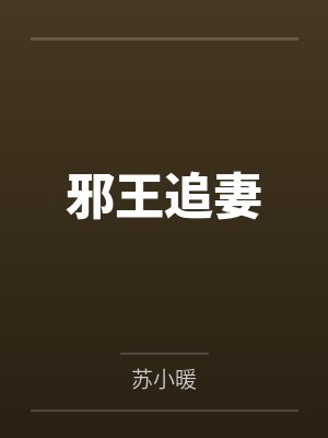 邪王追妻 邪王追妻